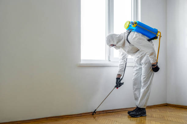 Best Affordable Pest Control Services  in Burbank, WA